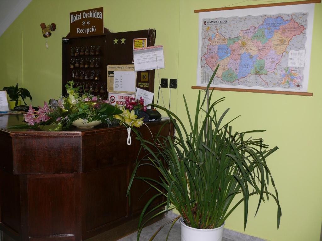 Hotel Orchidea Balástya Buitenkant foto